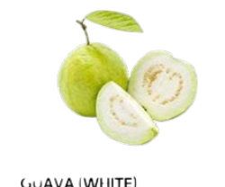 Pear Guava/ฝรั่งลูกใหญ่