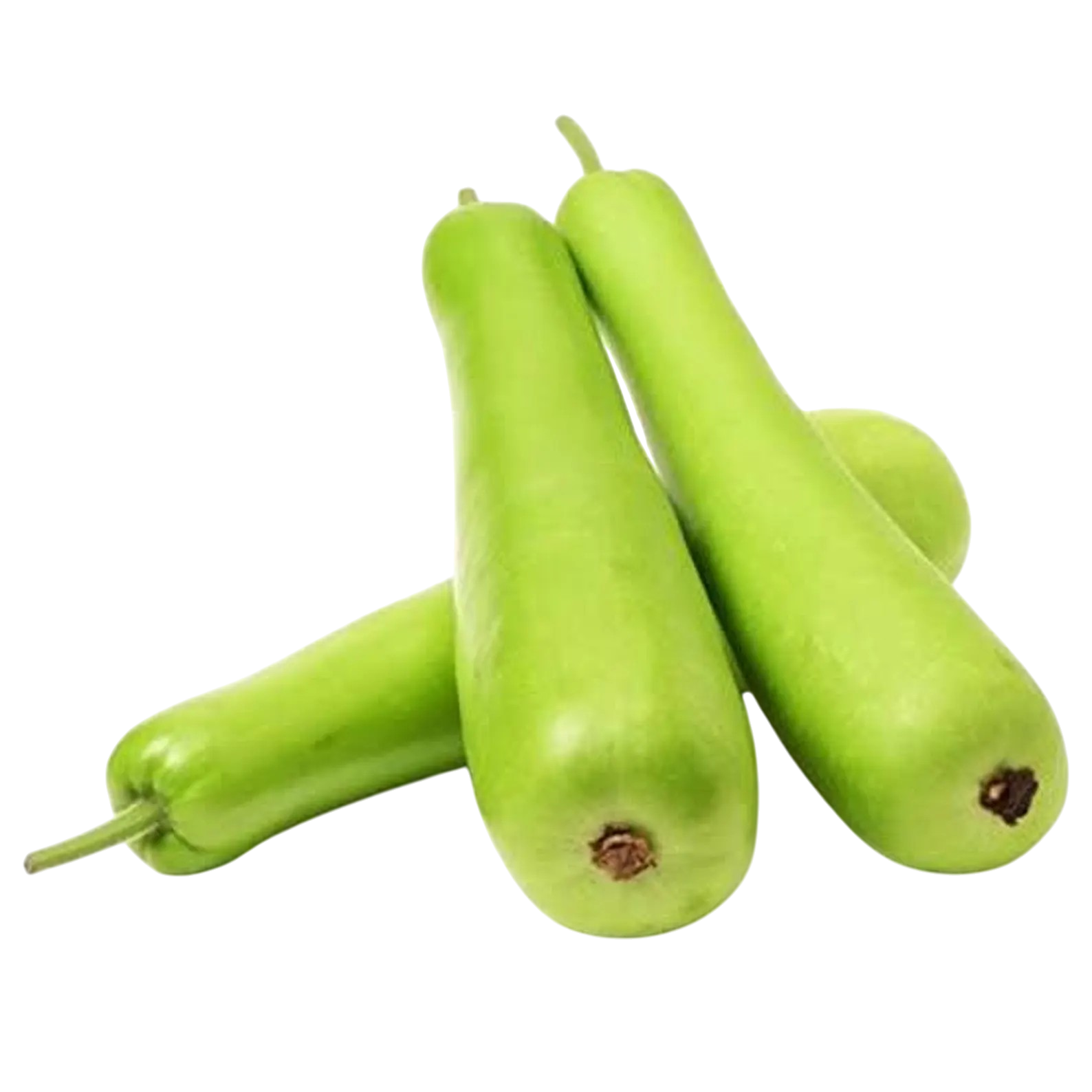 Bottle Gourd