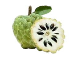 Custard Apple/ Atemoya/น้อยหน่า
