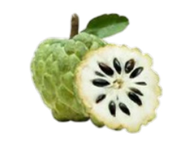 Custard Apple/ Atemoya/น้อยหน่า