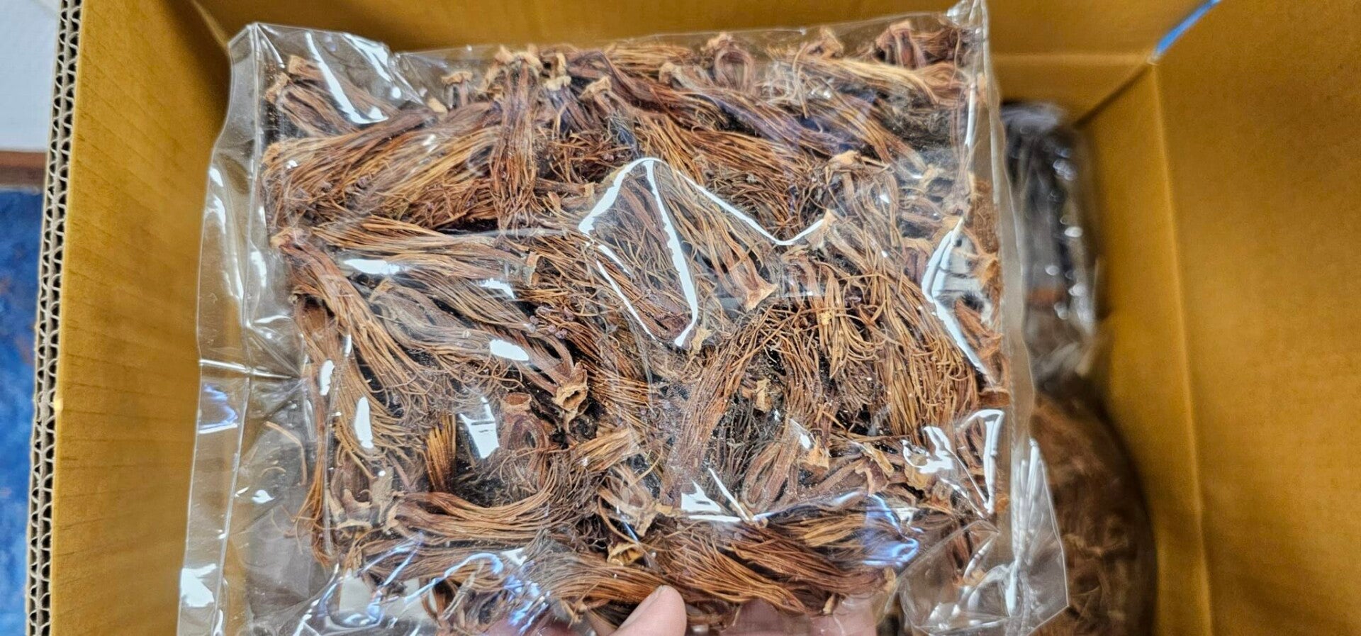 DOK NGUE DRIED  100g เกสรดอกงิ้วตากแห้ง