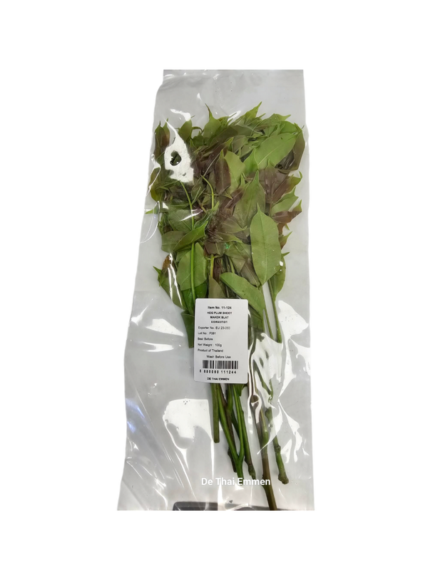 HOG PLUM SHOOT 100 Gยอดมะกอก 100 กรัม