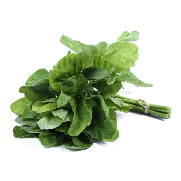 ํYor Leaf ใบยอ 100g