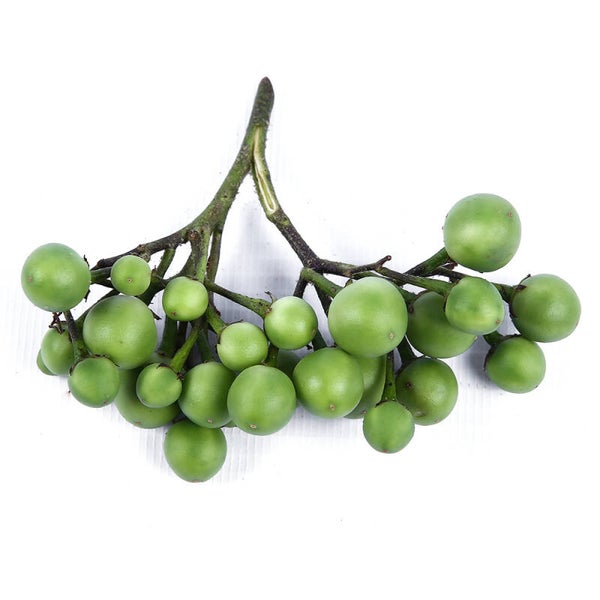 Pea Eggplants มะเขือพวง 100g