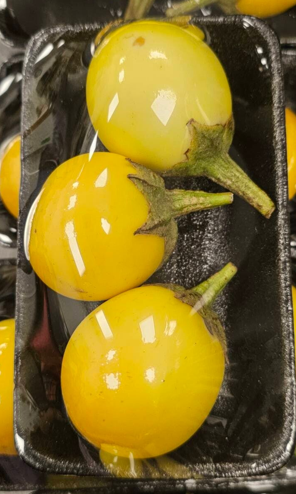 EGG PLANT YELLOW 100g