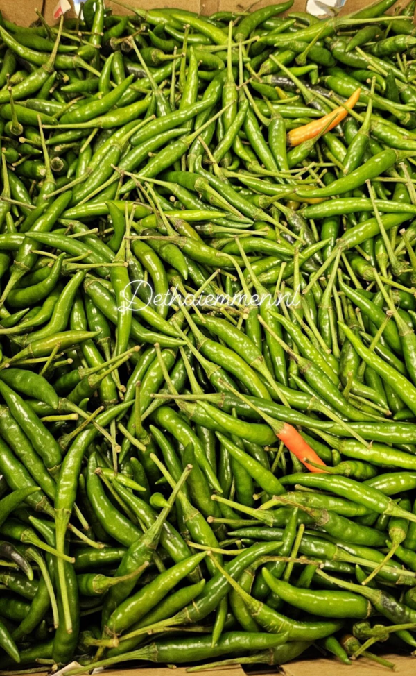 Finger chili Green 500g