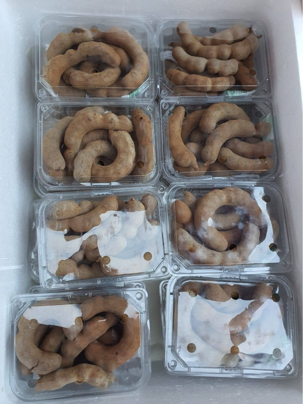 Tamarind (almost ripped) มะขามขาหมู (มะขามเหิ่ม) 500g