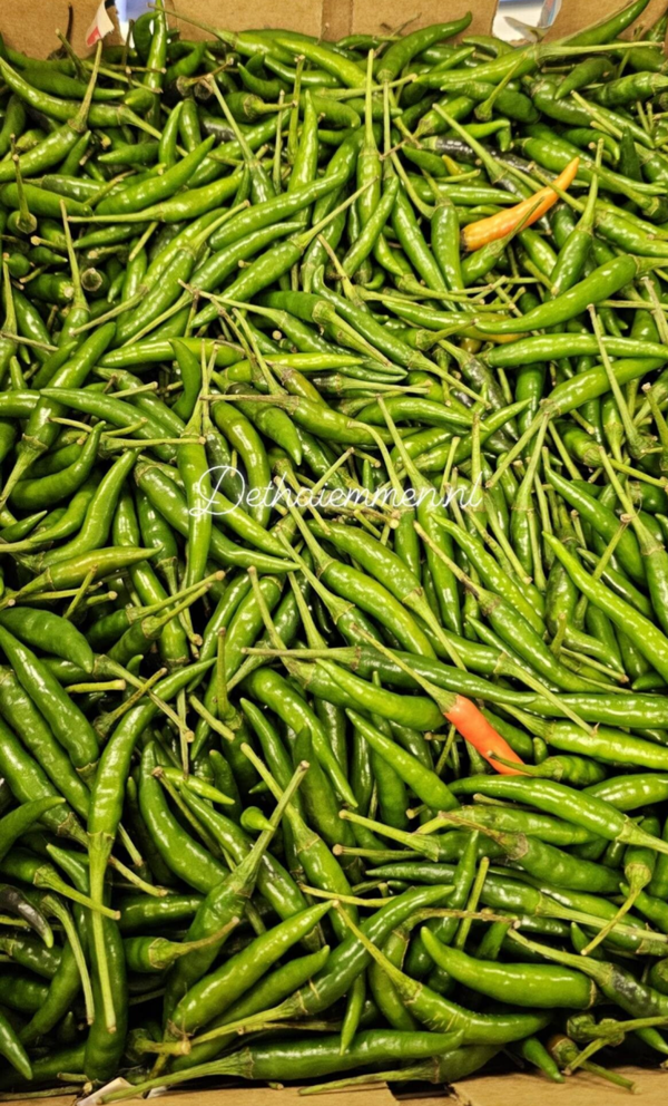 Finger Chili Green 100g