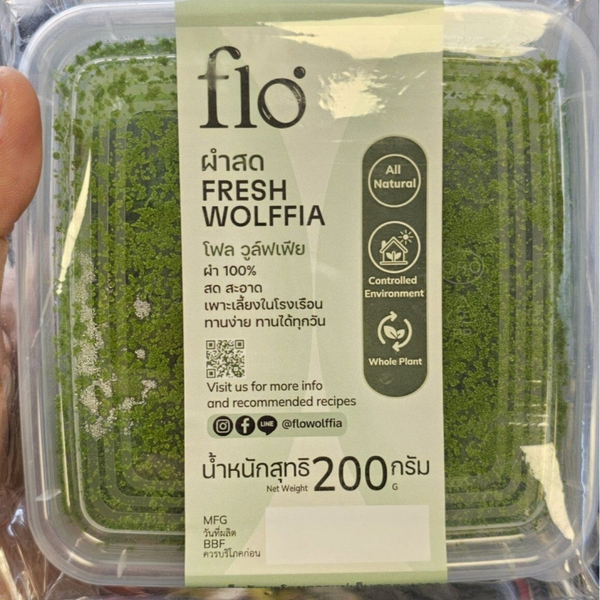 FRESH WOFFIA FLO 200g ผักไข่ผำาสด FLO 200g