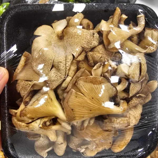 Kra Dang Mushroom 100g เห็ดกระด้าง