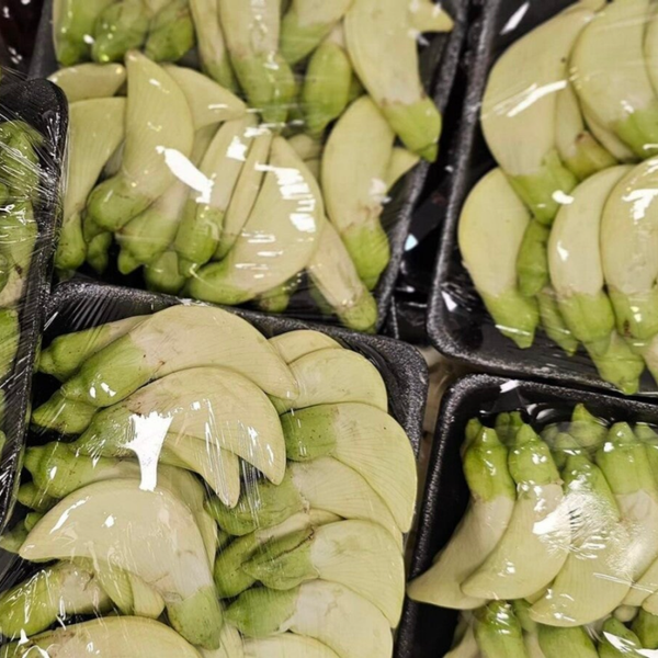 Dok Care-SESBAN FLOWER 100 G ดอกแคร์