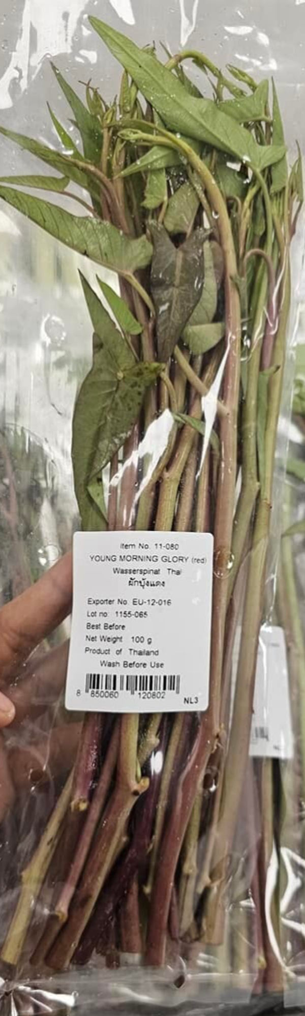 Red morning glory ผักบุ้งนา 100g