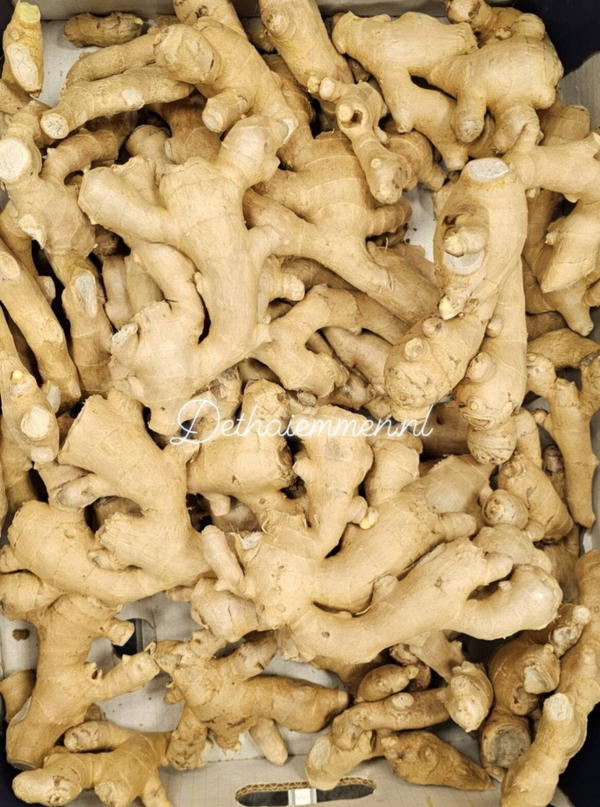 Fresh Ginger 500g