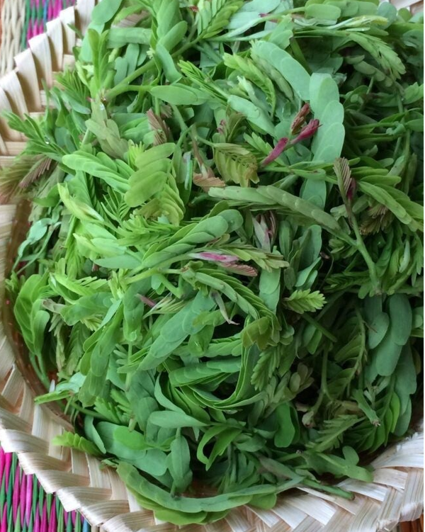 Fresh Tamarin leaf 100g ใบมะขามสด