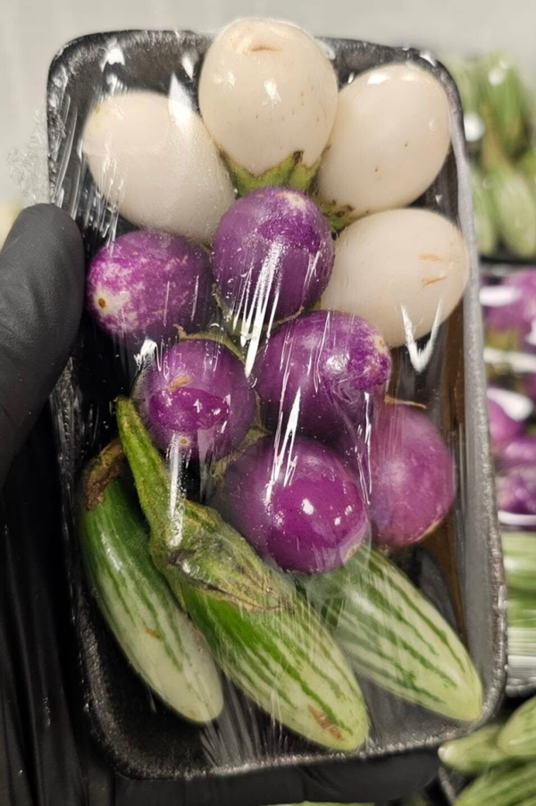 EGG PLANT MIX 100g มะเขือสีรวม (ลาย+ไข่เตา+ม่วงกลม