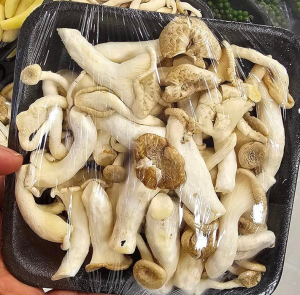 Kon Mushroom 100g เห็ดขอนขาว