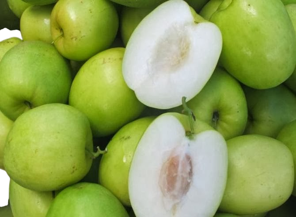 ๋Jujube /Tao Ta พุทรา 500g Product of Vietnam