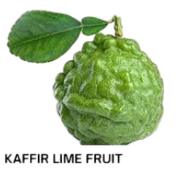 Kaffir Lime Fruit/ลูกมะกรูด 200g