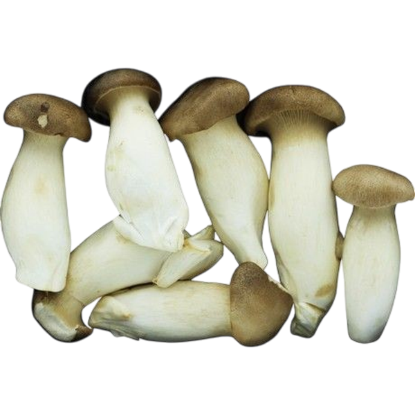 king Oyster Mushroom 150g MAO XIONG