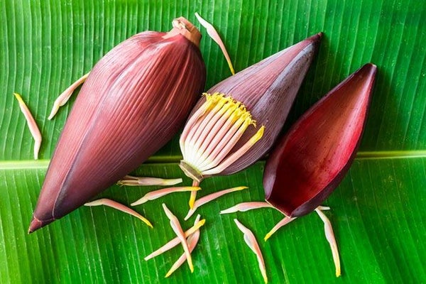 ฺThai Banana flower 600g /stuk  (19eu/kg)