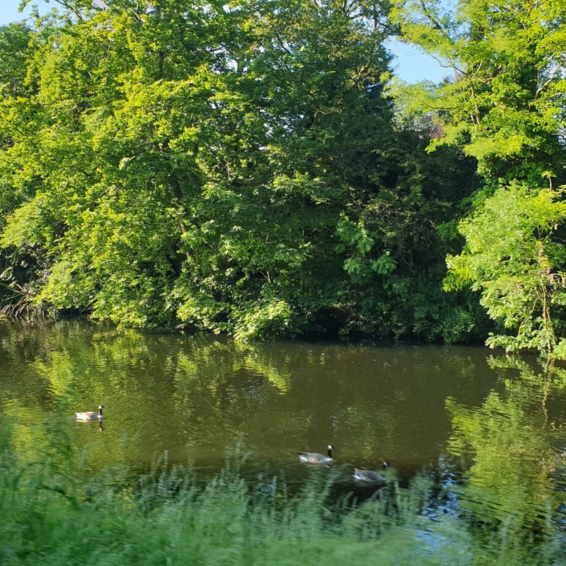 20210613_192624.jpg