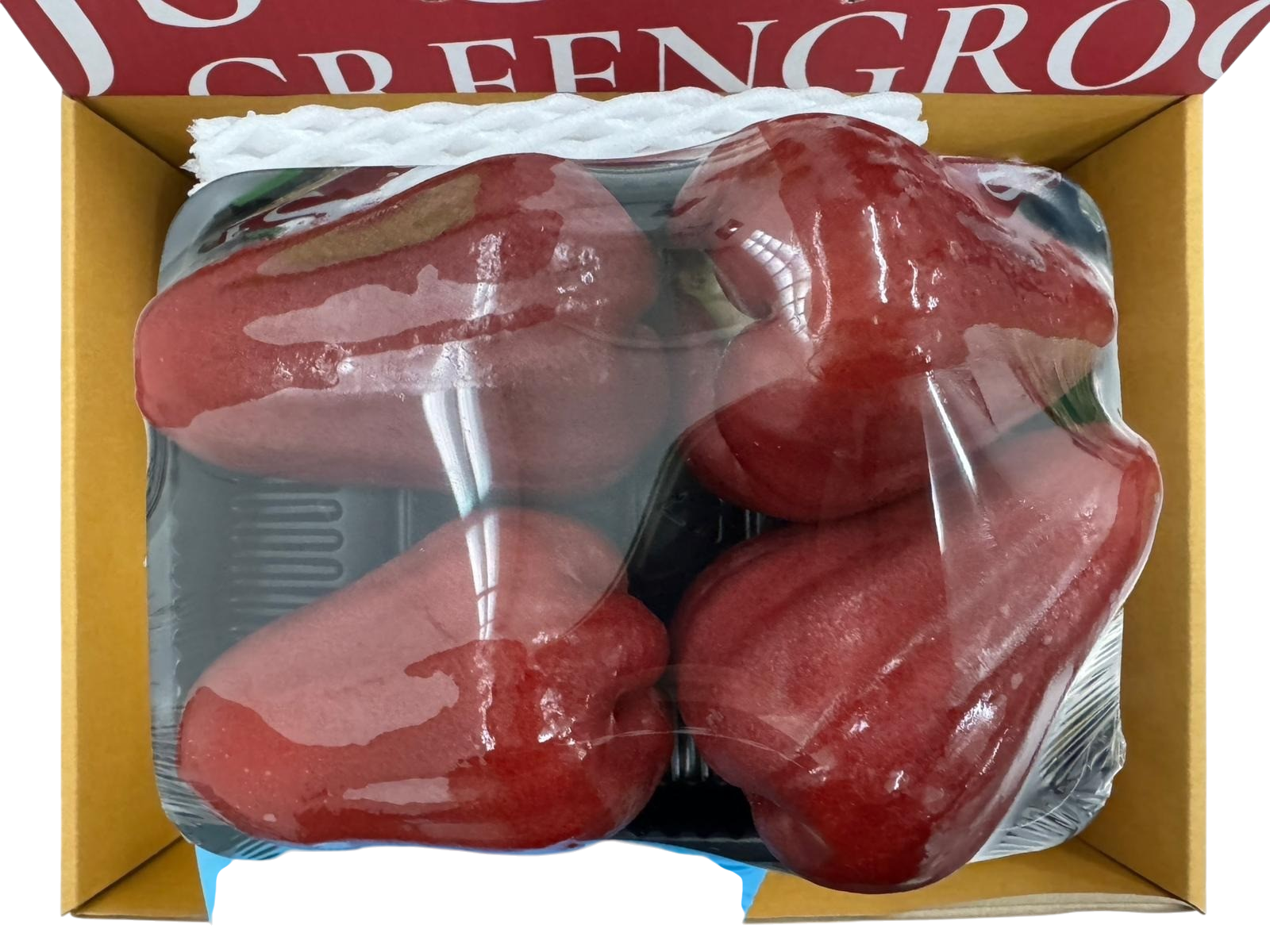Red Rose Apple /ชมภู่