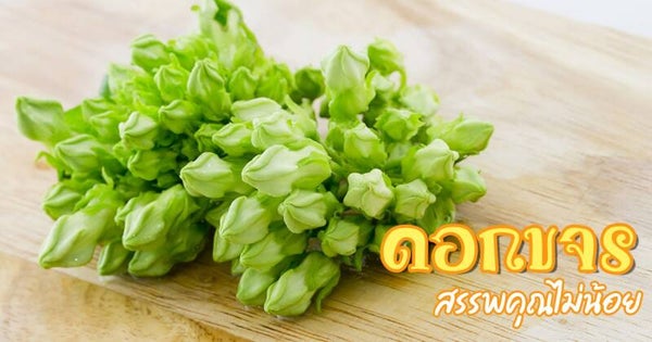KHA-CHON 100 G ดอกขจร 100 กรัม
