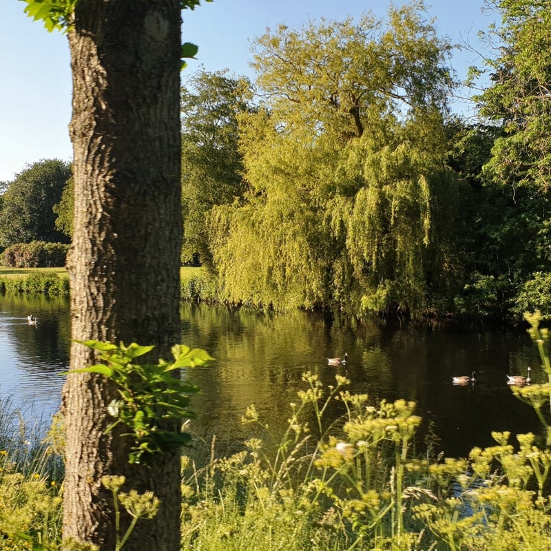 20210613_192628.jpg
