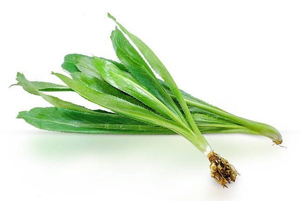 Stinking parsley leaf ผักชีใบเลื่อย/ ผักชีฝรั่ง 100g