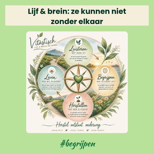 cellulitis-verminderen-cuppingmassage.jpg