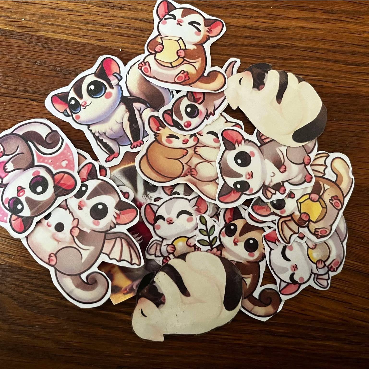 Sugar glider Klistermærker 3 stk