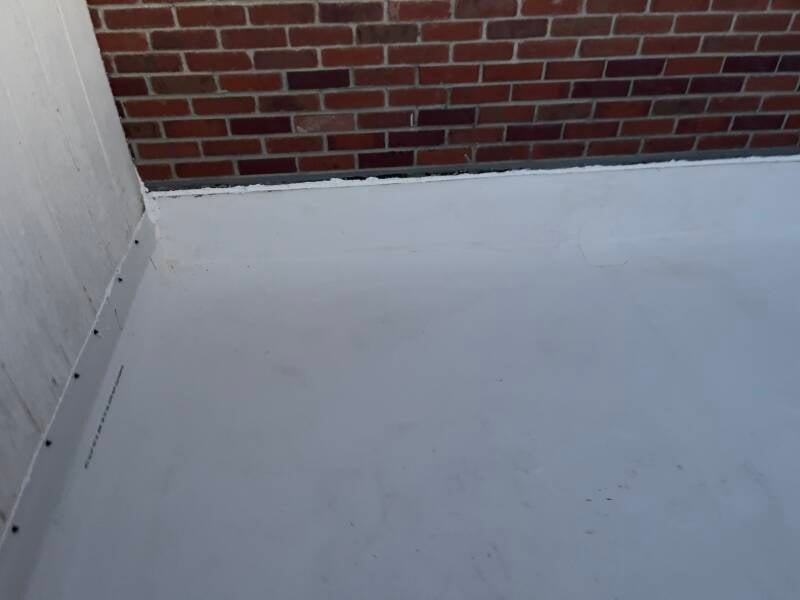 img_0080-standard.jpg