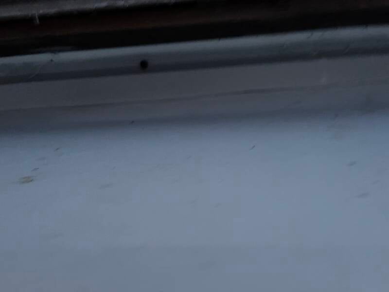 img_0083-standard.jpg