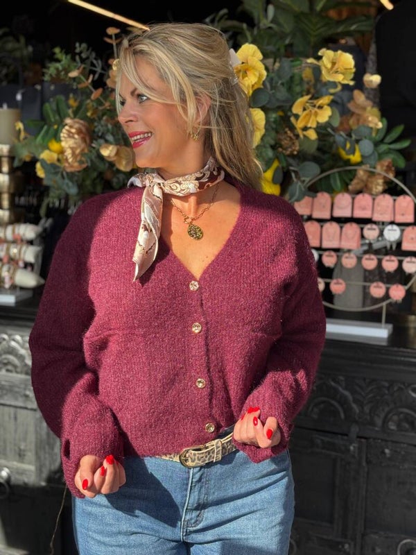 Vest jane bordeaux