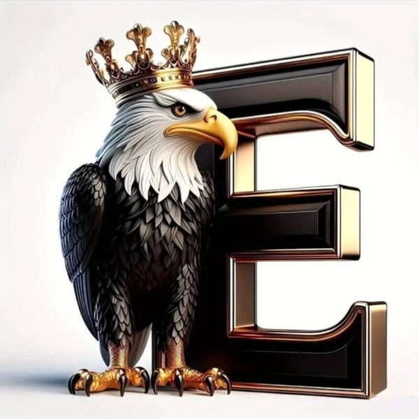 3d E