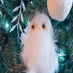 DSC_2656.jpg