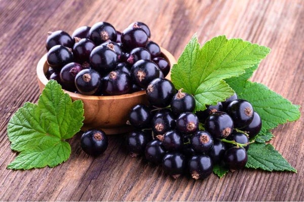 Black Currant Flavouring (FWSSC-160)