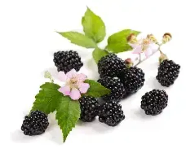 Blackberry Blossom Flavouring (FLSSC-166)