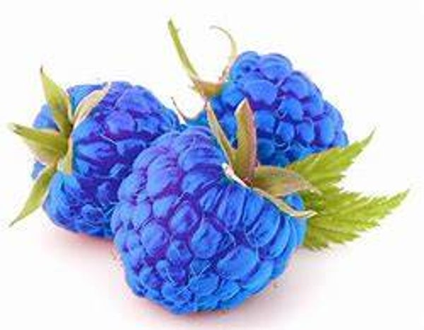 Blue Raspberry Flavouring (FWSSC-180)