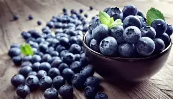 Blueberry #2 Flavouring (CSSC-184)