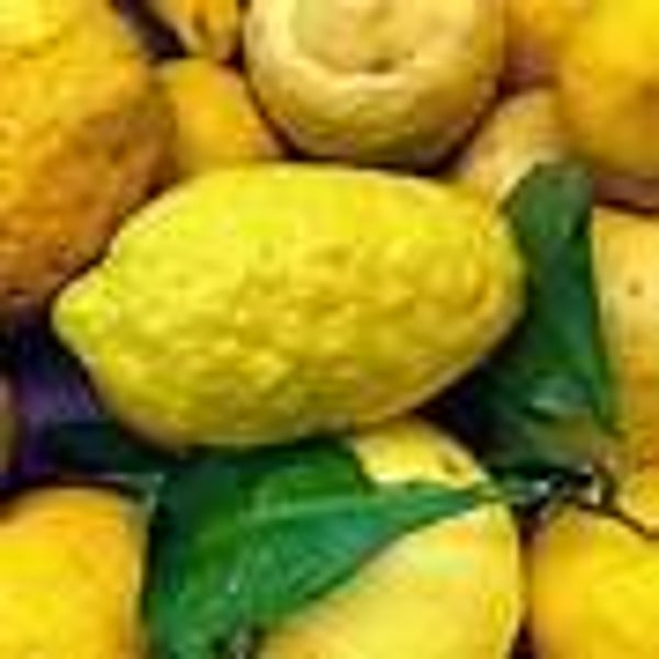 Cedro (Fruit) Flavouring (WFSSC-274)