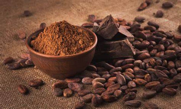 Cocoa Flavouring (WFSSC-324)
