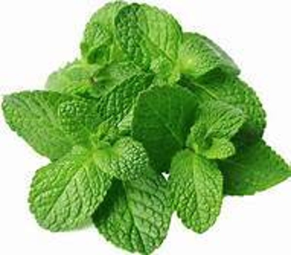 Cool Mint Flavouring (CSSC-353)