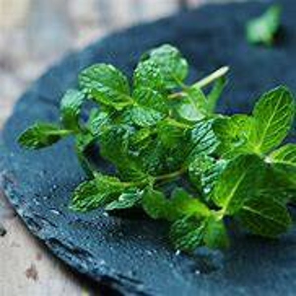 Double Mint Flavouring (WFSSC-402)