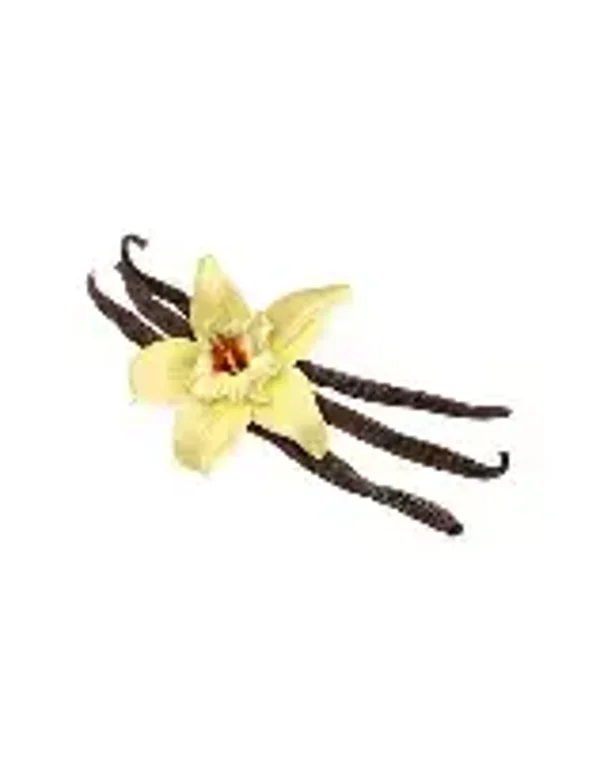 French Vanilla #2 Flavouring (CSSC-434)