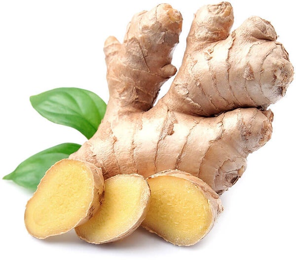Ginger Flavouring (FWSSC-453)