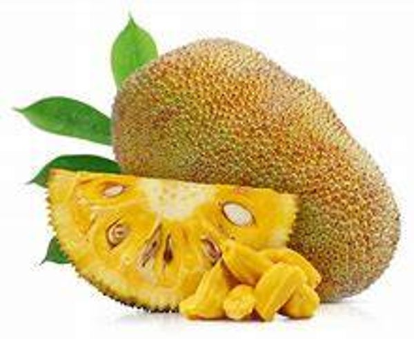 Jackfruit Flavouring (WFSSC-544)