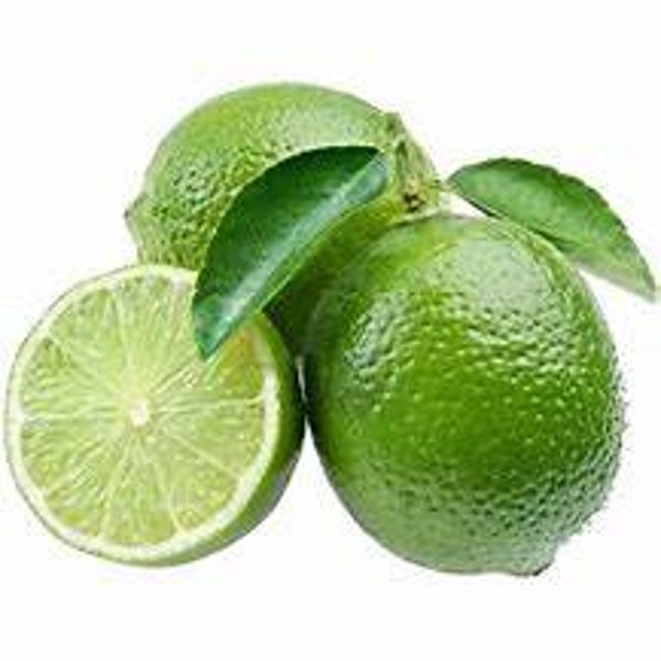 Lime Flavouring (WFSSC-594)