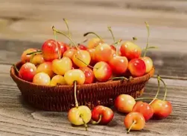 Rainer Cherry Flavouring (FLSSC-765)