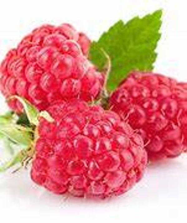 Raspberry (Sweet) Flavouring (PASSC-768)